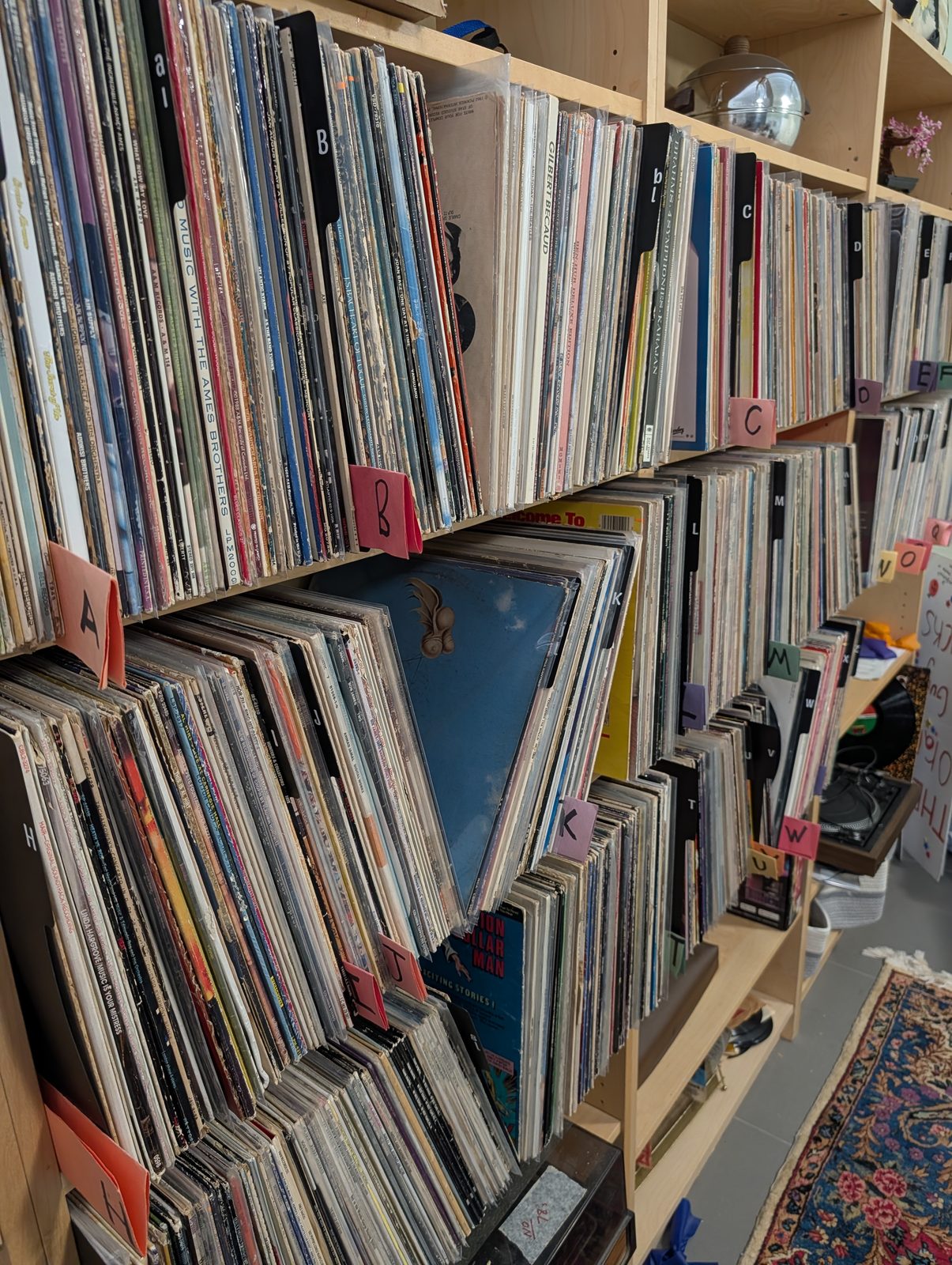 The record racks at Oliver's Records & Oddities